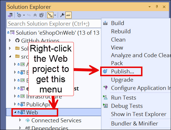 Solution Explorer is open. The context menu is shown for the Web project. Publish is highlighted.